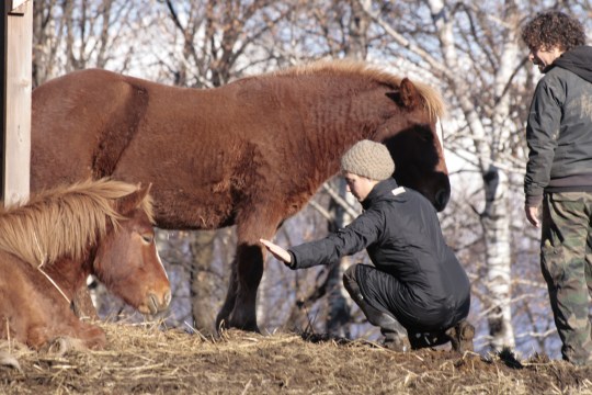 Working in a cognitive way